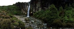 Taranaki_falls_04~0.jpg