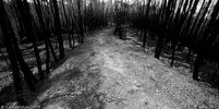 burnt track II B&W.jpg