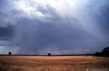 hail dispersion.jpg