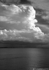 harbour B&W~0.jpg