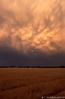 mammatus I.jpg