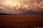 mammatus II.jpg