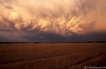 mammatus III.jpg