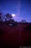 outback moonset.jpg