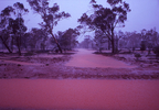 outback rains.jpg