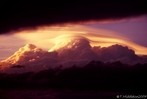 sunlit pileus I.jpg