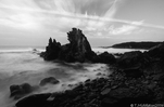 wilderness coast B&W.jpg